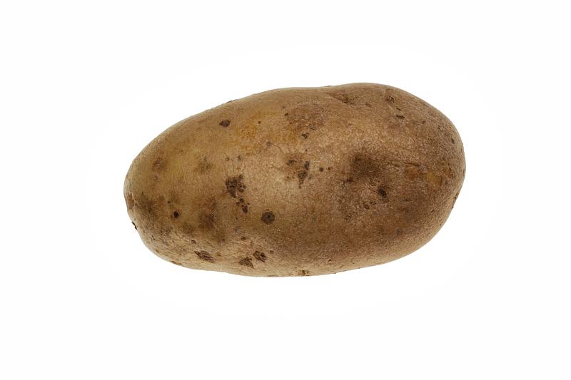 TEAM POTATO profile image